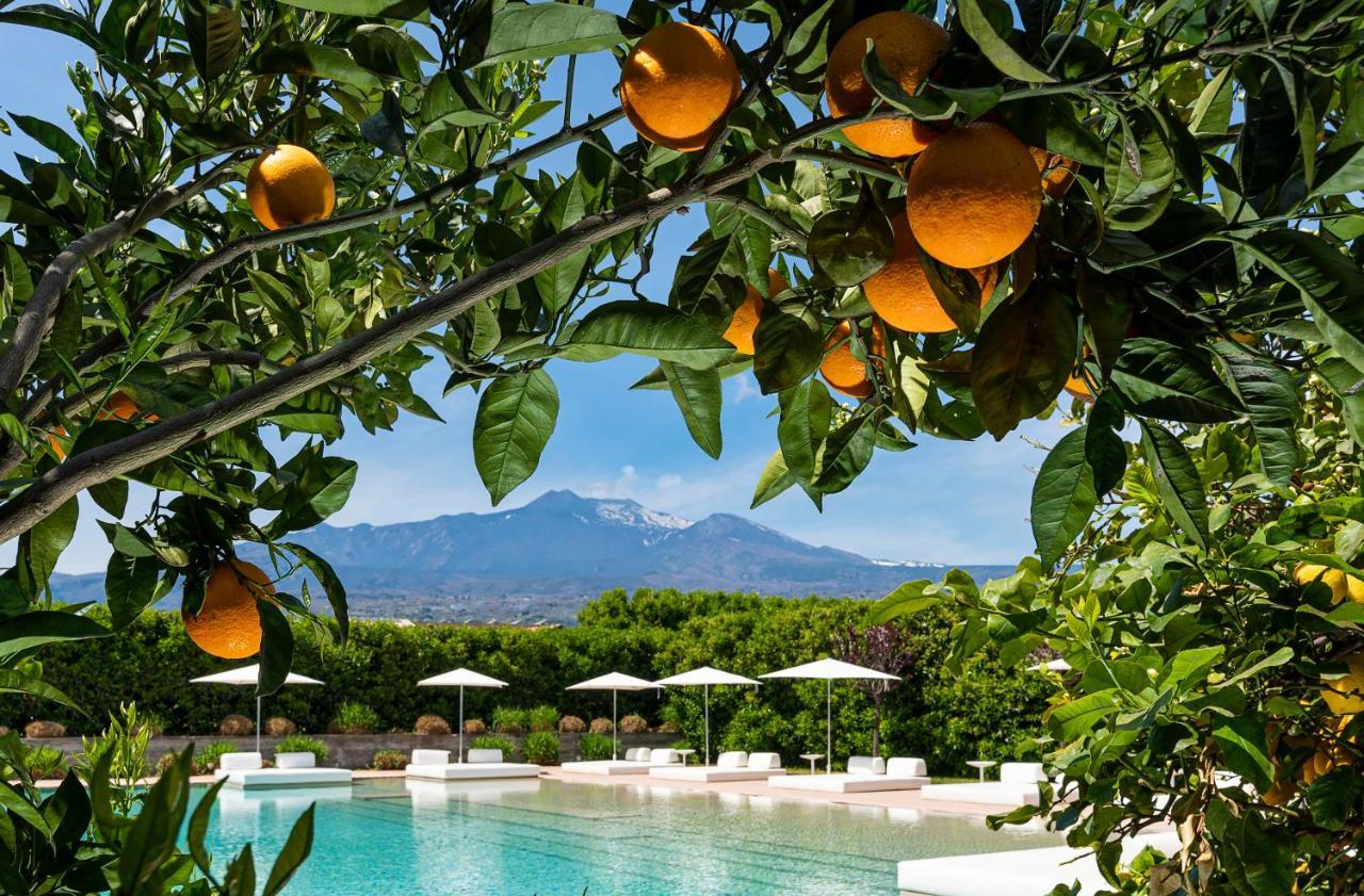 Ramo D'Aria Etna Boutique Hotel Giarre Eksteriør bilde