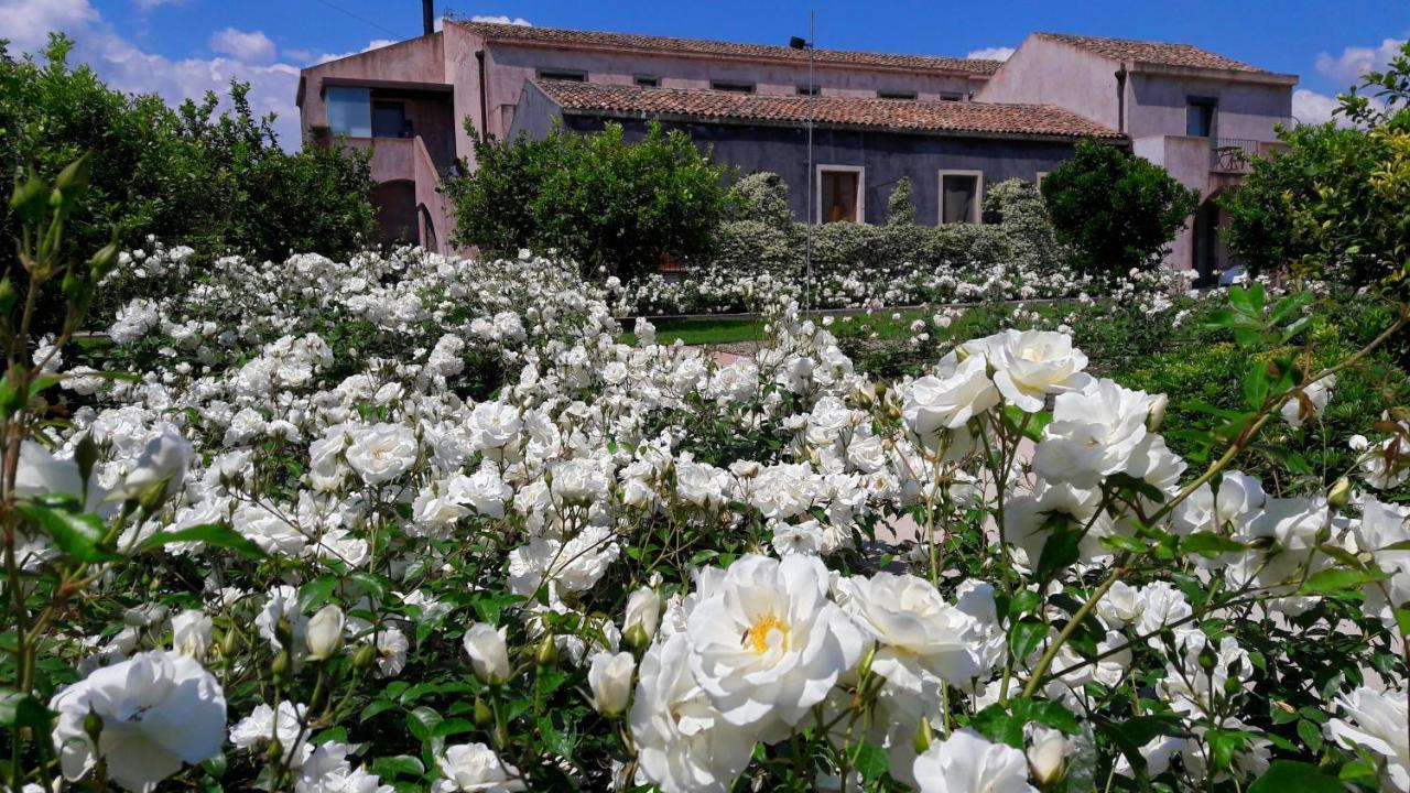 Ramo D'Aria Etna Boutique Hotel Giarre Eksteriør bilde